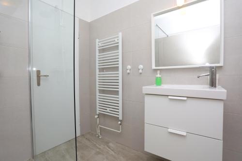 a bathroom with a shower and a sink and a mirror at Apartment Falichi in Plomin