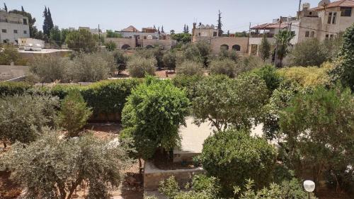 a view of a garden with trees and buildings at Black Iris Hotel in Madaba