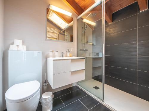 a bathroom with a toilet and a shower at Haus Tarbey in Leukerbad