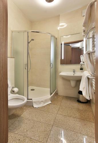 a bathroom with a shower and a toilet and a sink at Pod Lipą in Gorzów Śląski