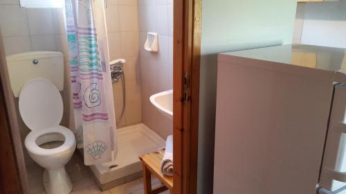 a bathroom with a toilet and a shower curtain at Danaides Bungalows in Tolo