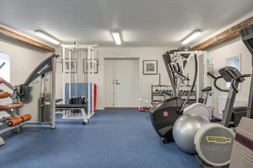 una habitación con gimnasio con cinta de correr y pesas en Brunsbergs Herrgård appartement, en Brunskog