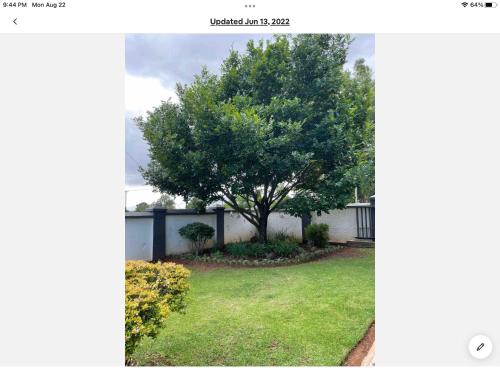 a tree in a yard next to a house at Rueby’s Apartment 101 in Dullstroom