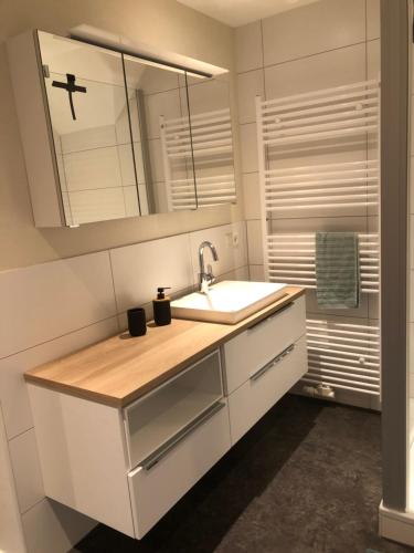 a bathroom with a sink and a mirror at Ferienwohnung am Eggegebirge in Bad Driburg