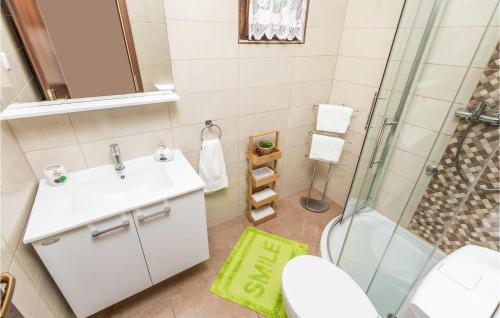 ein Bad mit einem Waschbecken und einer Dusche in der Unterkunft Beautiful Home In Prizna With Wifi in Prizna