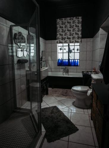 a bathroom with a shower and a sink and a toilet at Grewar House in Parys