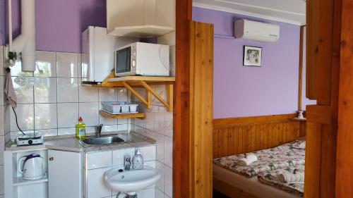 Una pequeña cocina con fregadero y microondas. en Csobogó Vendégház, en Eger