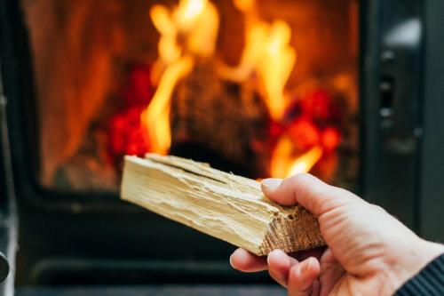 a person holding a piece of wood in front of a fireplace at Woeste Hoogte - Groesbeek in Groesbeek