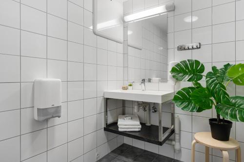 a bathroom with a sink and a potted plant at Mikkelparken Ferietun in Kinsarvik