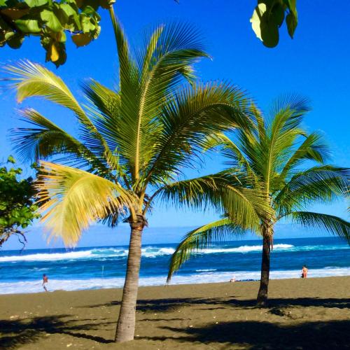 two palm trees on a beach near the ocean at A 3 mn à pied du lagon... Chambre Cardinal in Étang-Salé les Bains