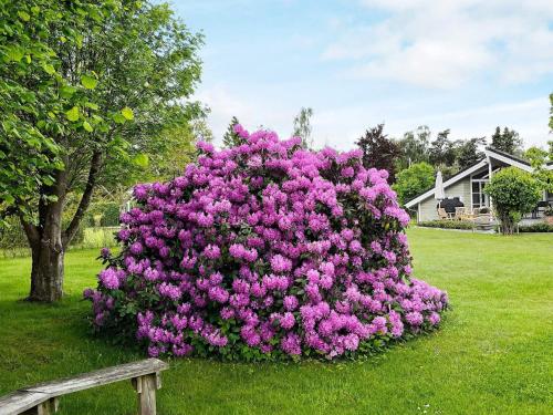 um grande arbusto de flores cor-de-rosa num quintal em 8 person holiday home in Dronningm lle em Dronningmølle