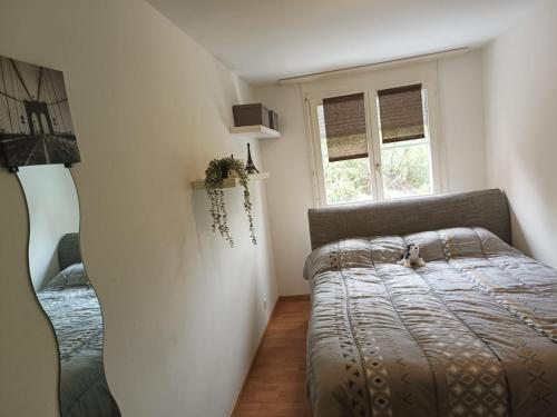 a bedroom with a bed and two windows at habitación en piso compartido in Yverdon-les-Bains