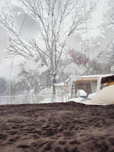 a snow covered yard with a tree in the background at La Bulle d'Ardèche in La Chanal