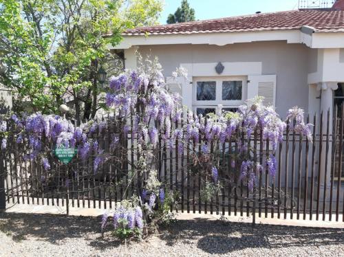 a fence in front of a house with purple flowers at Grewar House in Parys