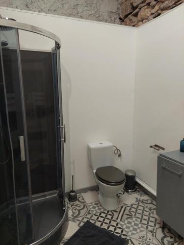 a bathroom with a shower and a toilet in it at Ancienne grange rénovée in Tuchan