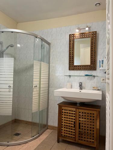 a bathroom with a sink and a glass shower at Manoir de Valette 
