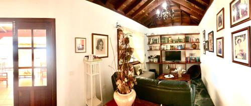 a living room with a leather couch and a television at Finca Chimaca in Arona