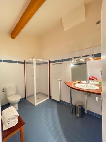 ein Bad mit einem WC und einem Waschbecken in der Unterkunft Les chambres de Testory in Montesquieu-Volvestre