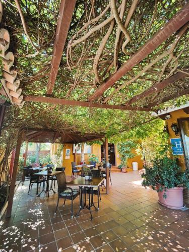 a covered patio with tables and chairs and trees at Hotel Doñana Blues in Matalascañas