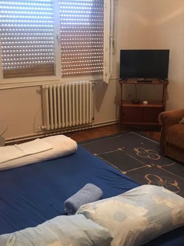 a living room with two beds and a television at Apartman CENTAR in Titel