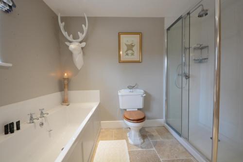 a bathroom with a toilet and a shower at Bird Cottage, Burgh in Grundisburgh