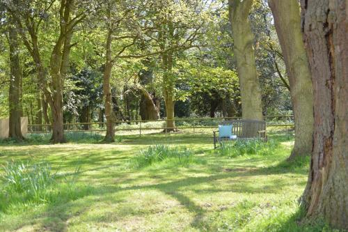 a bench in a park with trees and grass at Henstead Hall in Beccles