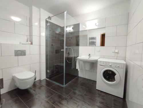 La salle de bains est pourvue de toilettes et d'un lave-linge. dans l'établissement Apartament "Nad Niwką 7", à Bielsko-Biała