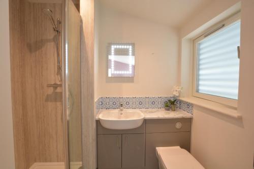 uma casa de banho com um lavatório e um chuveiro em Bramertons Nest, Long Melford em Long Melford
