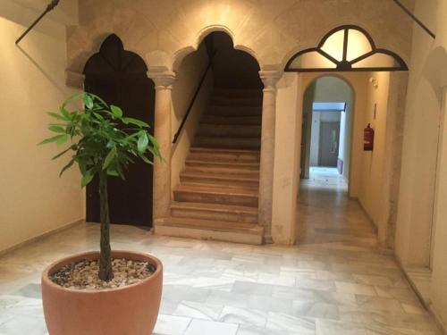 Φωτογραφία από το άλμπουμ του Puerto Luxury Centro σε El Puerto de Santa María