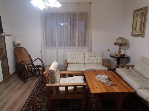 - un salon avec un canapé et une table basse dans l'établissement Apartman CUNI, à Subotica