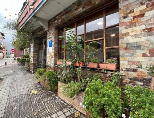 budynek z kupą roślin w oknie w obiekcie Montero Sestao Bilbao w mieście Trapagaran