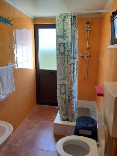 y baño con aseo y cortina de ducha. en Monte Sol Nascente, en Grândola