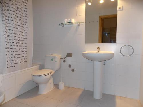 a bathroom with a toilet and a sink at Apartamentos Fidalgo in Sandiniés