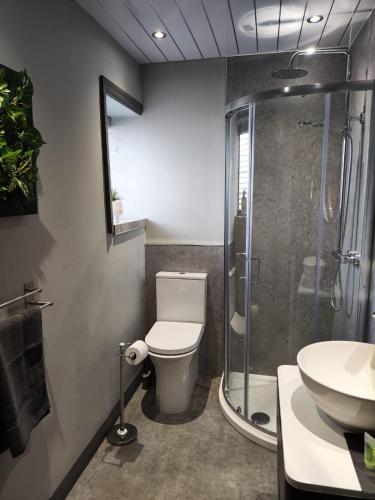 a bathroom with a shower and a toilet and a sink at The Ribchester Arms in Blackburn