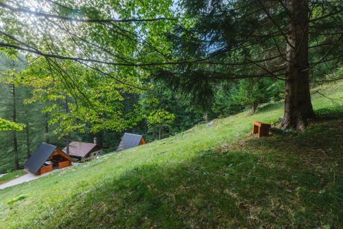 Φωτογραφία από το άλμπουμ του Nature escape woodhouse σε Žirovnica
