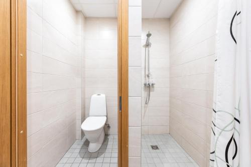 a bathroom with a toilet and a shower at LKS Apartment 5 in Tallinn