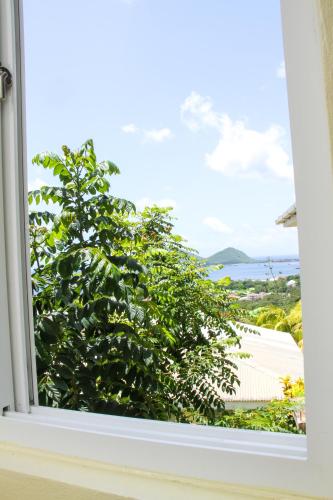 a window with a green bush looking out at the ocean at The Champs in Portsmouth