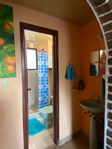 a bathroom with a shower and a toilet and a sink at Apartamento En Pueblito Boyacense in Duitama