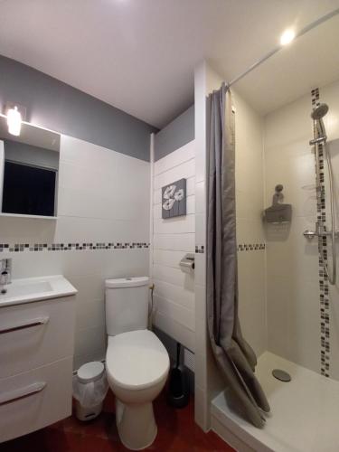 グランカン・メジーにあるA deux pas d'la merのバスルーム(トイレ、シャワー付)
