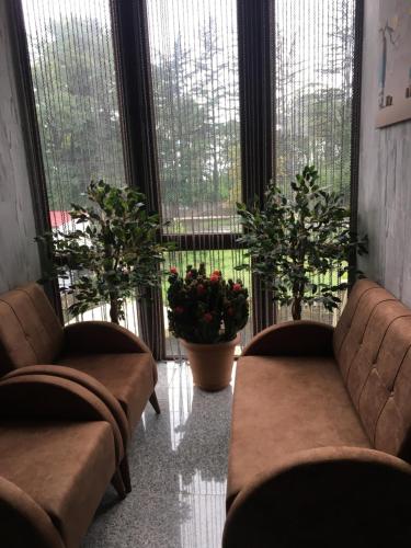a waiting room with two couches and two potted plants at hotel twins G&G in K'obulet'i