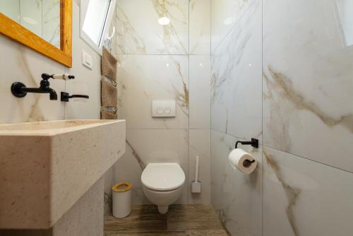 ein Badezimmer mit einem WC, einem Waschbecken und einem Spiegel in der Unterkunft Old Olive in Murvica
