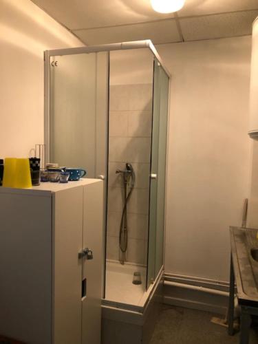 eine Dusche mit Glastür im Bad in der Unterkunft ZF IMMERSION in Marseille