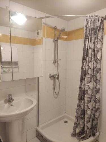 une salle de bain avec un rideau de douche et un lavabo dans l'établissement Charmant studio à St Martin Vésubie au calme, à Saint-Martin-Vésubie