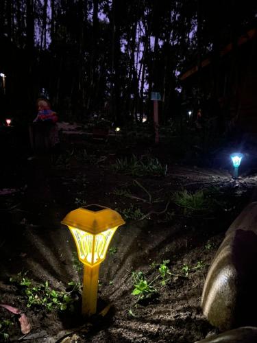 a yellow light in a garden at night at Cabañas Cuento de Hadas Horcon in Puchuncaví