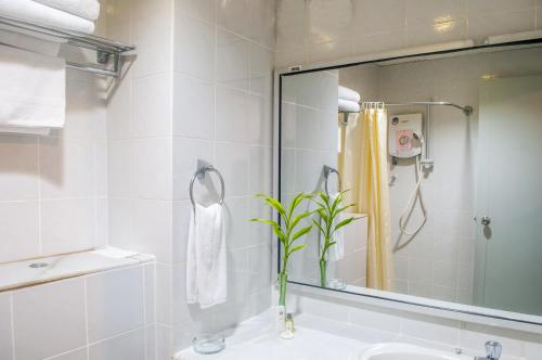 a bathroom with a sink and a mirror and a plant at Hotel Seri Malaysia Bagan Lalang in Sepang