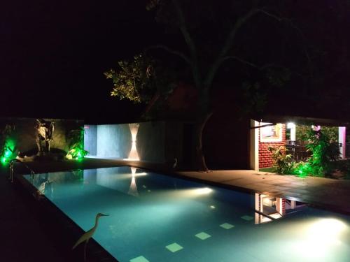 a swimming pool at night with green lights at Sigiriya Cashew Palace Resort in Sigiriya