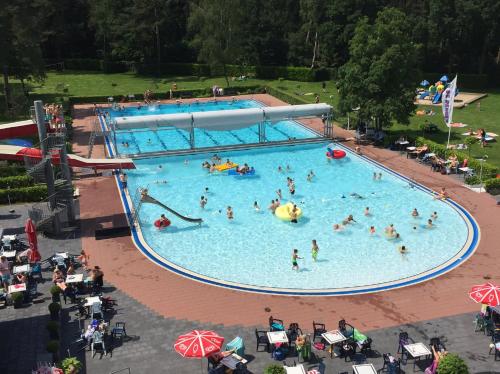een uitzicht over een zwembad met mensen erin bij Boslodge 84 in Vorden