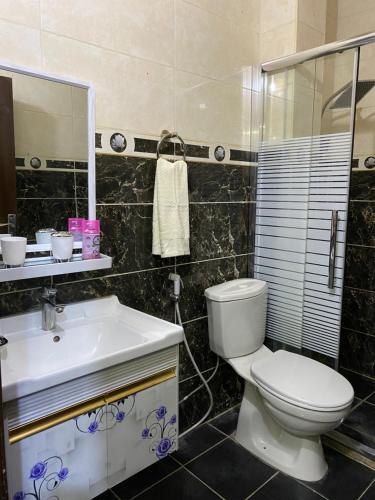 a bathroom with a toilet and a sink at Petra Rose Apartment in Wadi Musa