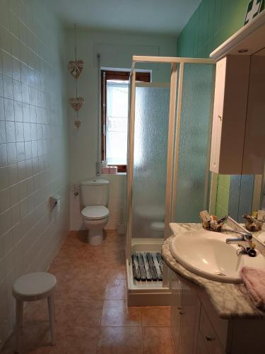 a bathroom with a shower and a toilet and a sink at CASA ABUELA in Palacios de la Valduerna