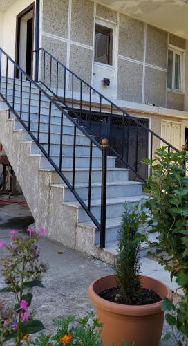 Φωτογραφία από το άλμπουμ του Hotel Liza στο Μπατούμι